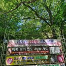 선암사 | 부산 선암사 템플스테이 후기