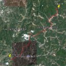 강승월기사식당 이미지