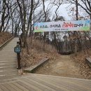 목상동 솔밭길 이미지