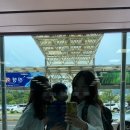 소나기분식