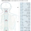 라파엘의원