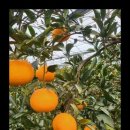 다미농장 이미지