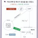 연세위더스여성의원 이미지