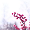 알-케미스트 네이버블로그