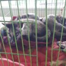 근태농장 이미지