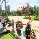 용봉어린이공원 Daum카페