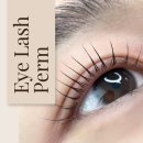 효니크뷰티샵 이미지