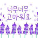 국제식당 이미지