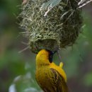 감성별빛투어 이미지