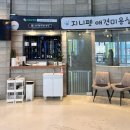 피터펫카페 일산점 | 일산 애견카페 추천 “피터펫카페” 상주견 많은 애견카페