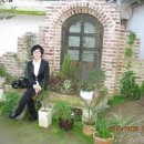 일영농장 이미지