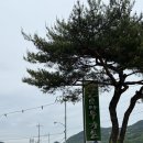 큰소나무가든 이미지