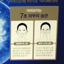 스텝셀 이미지