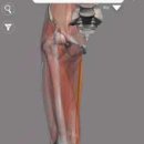 팀레이 피트니스 문성점 이미지