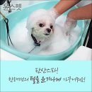 개와 사람(애견호텔) 이미지