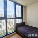 씨티캐슬 이미지