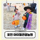 (주)펫키즈 | 포천 키즈캠핑장 아이월관광농원 캠핑장 할로윈 방문 사이트 F1