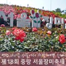 11260-2-4-6 | 2026 중랑 서울장미축제 가는법 및 주차장 현장 후기