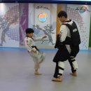 용인대중앙태권도장 이미지