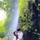 세풍농장 이미지