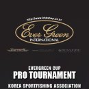 에버그린 이미지