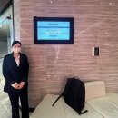 펠리스빼로 이미지