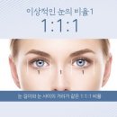 코 성형수술 하고시픈데 신동엽될까봐 불안하면 안하는게 맞겠지? 이미지