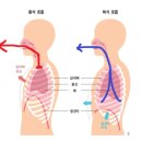 몰리짐 장기점 네이버블로그