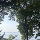 바다회식당 | 무의도맛집 바다 뷰 맛집, 실미회식당 바다앞횟집 강추후기