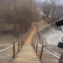 버드나루로 이미지