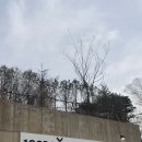 188 | [경기도/가평]깔끔한펜션 가평신축풀빌라 &#39;가평188다산트라&#39; 솔직후기