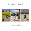 2025 어린이날 축제! 강원도 지금 가기 딱 좋은 가족 축제 5곳 총정리🎈