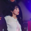 천일홍축제 이미지