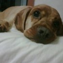 공주휴게소 이미지