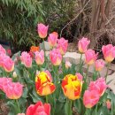 승평농장 이미지