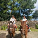 탐라승마장 이미지