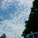 표선오일시장 이미지