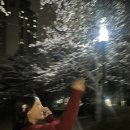 수원-0412 이미지