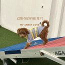 내동중학교 | 김해 내외동 애견카페 후기 해피멍데이