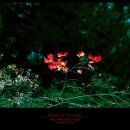 그 해 가을 이미지