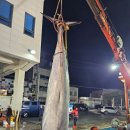 고래 - 남양주시 | 고래