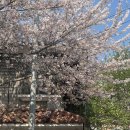 GS25 합정패밀리점 이미지