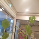 비리야에스테틱 | [남양주] 다산신도시피부관리 비리야에스테틱 :: 남양주 피부관리샵 추천