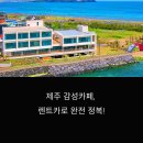 주식회사 제주마음렌트카 | 🚗 제주 렌트카 완전자차로 떠나는 서귀포 감성카페 투어 ✨
