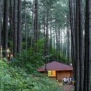 백운산자연휴양림 이미지