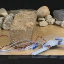 몸의형태 이미지