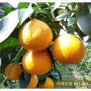 미래로농장 이미지