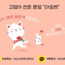 수원고양이전문분양아임캣