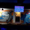 니모실내낚시터 이미지