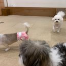 유동유치원 이미지